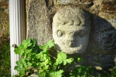 DSC00644-01