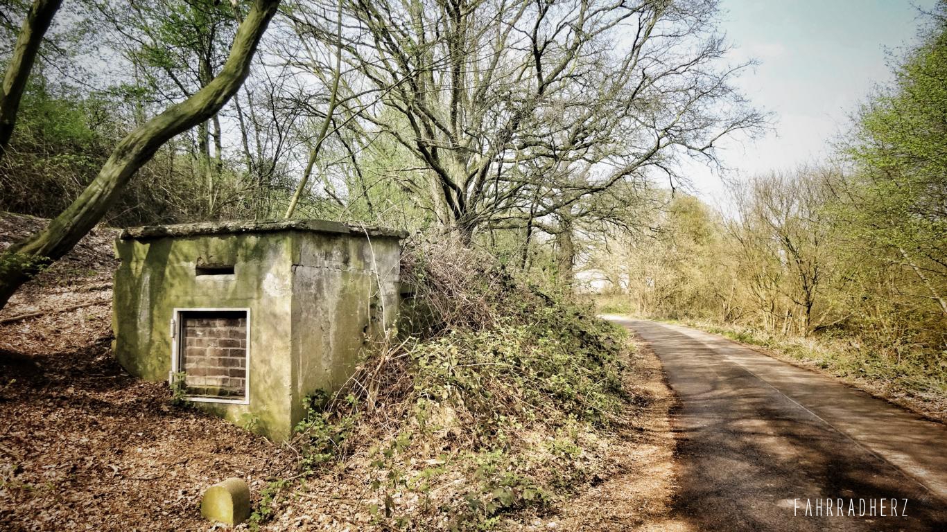 DSC00864-01