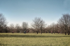 Krefeld - Stadt wie Samt und Seide?