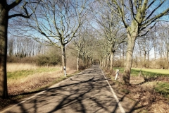 Krefeld - Stadt wie Samt und Seide?