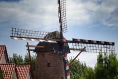DSC00116-01