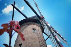 20180811_154427-01