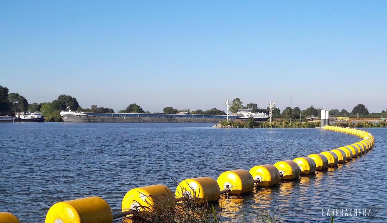 maas_1
