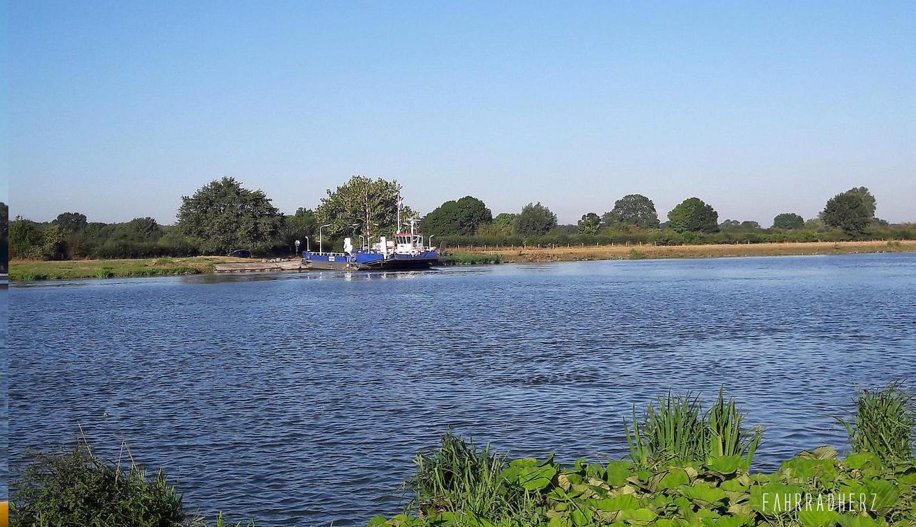 maas_2