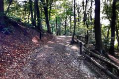 Schlucht-Mook-1