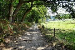 Schlucht-Mook-6