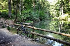 Schlucht-Mook-7