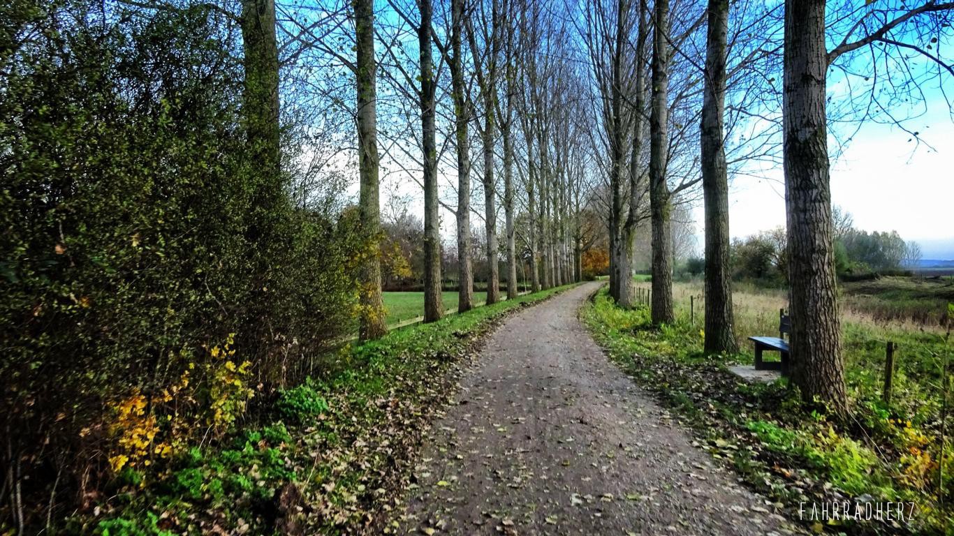 1_Mühlentour-32