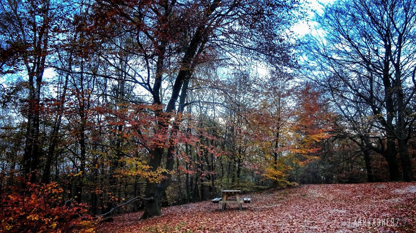 1_Mühlentour-40