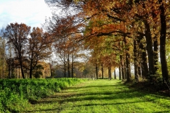 1_Mühlentour-16