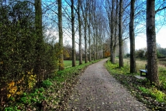 1_Mühlentour-32