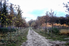 1_Mühlentour-38