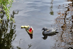 Tour-Naarden-30