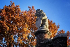Tour-Naarden-6