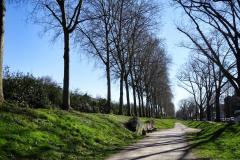 Radfahrweg