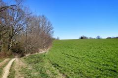 Neandertal Landschaft