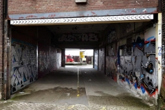 DSC03443-01