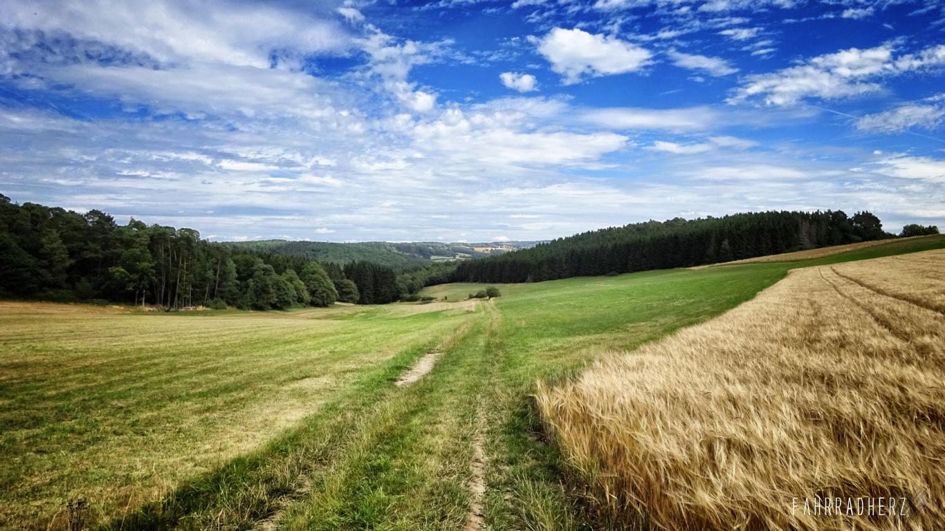 Nuerburgring-28