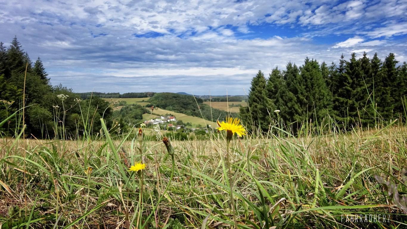 Nuerburgring-6