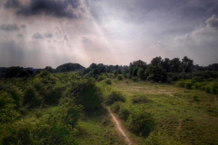 20170707_173007-01