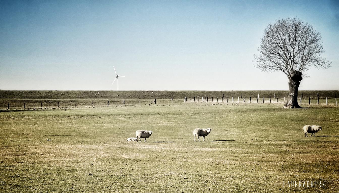 Im Auenland bei Wesel - fahrradherz.de