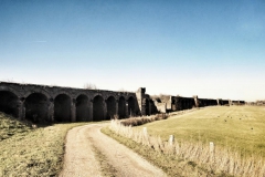 Im Auenland bei Wesel - fahrradherz.de