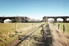 Im Auenland bei Wesel - fahrradherz.de