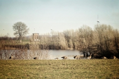 Im Auenland bei Wesel - fahrradherz.de