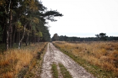 DSC06231-01
