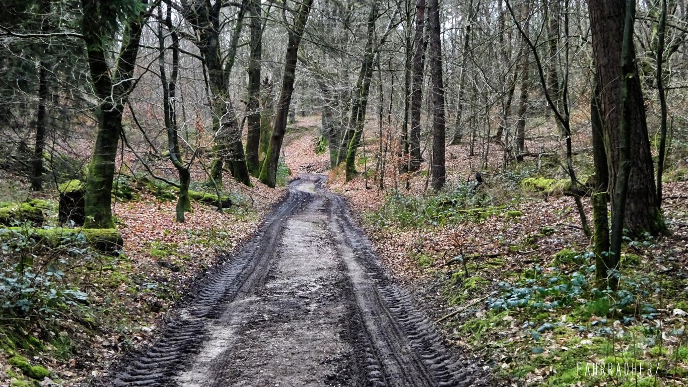 Radpilgerwege-Etappe-2-12