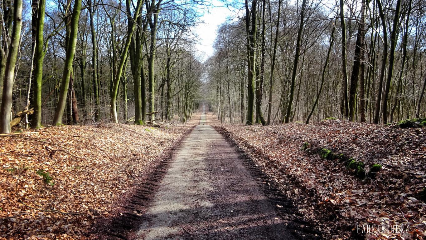 Radpilgerwege-Etappe-2-25