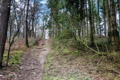 Radpilgerwege-Etappe-2-13