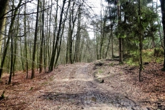 Radpilgerwege-Etappe-2-15