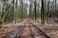 Radpilgerwege-Etappe-2-18