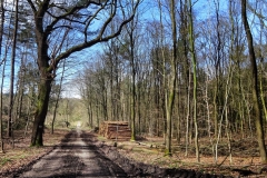 Radpilgerwege-Etappe-2-21