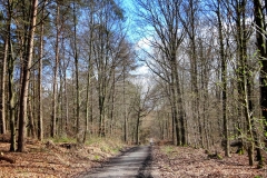Radpilgerwege-Etappe-2-22