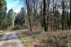Radpilgerwege-Etappe-2-23