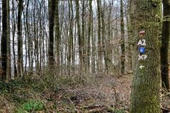 Radpilgerwege-Etappe-2-7