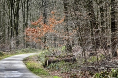 Radpilgerwege-Etappe-2-8
