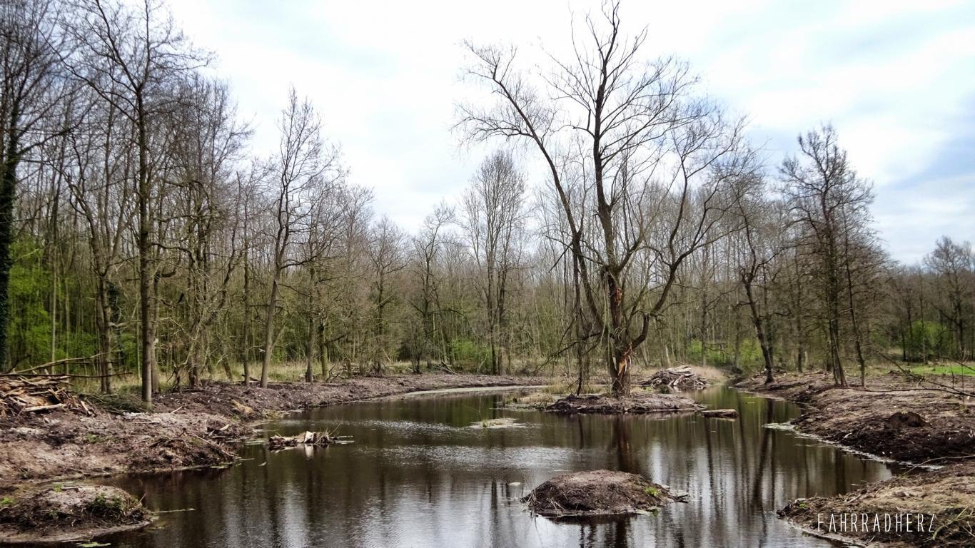 Radpilgerwege Etappe 3