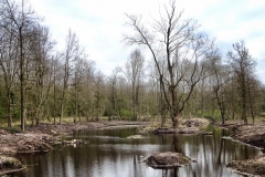 Radpilgerwege Etappe 3