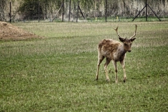Radpilgerwege Etappe 3