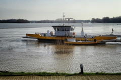 Royal Rheden