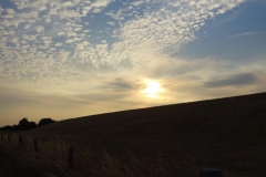 DSC05700