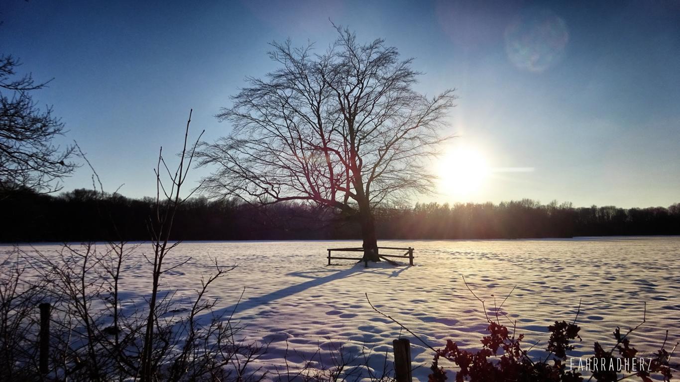 Nordkirchen-36