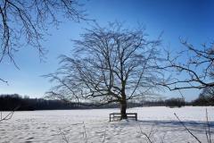 Nordkirchen-2