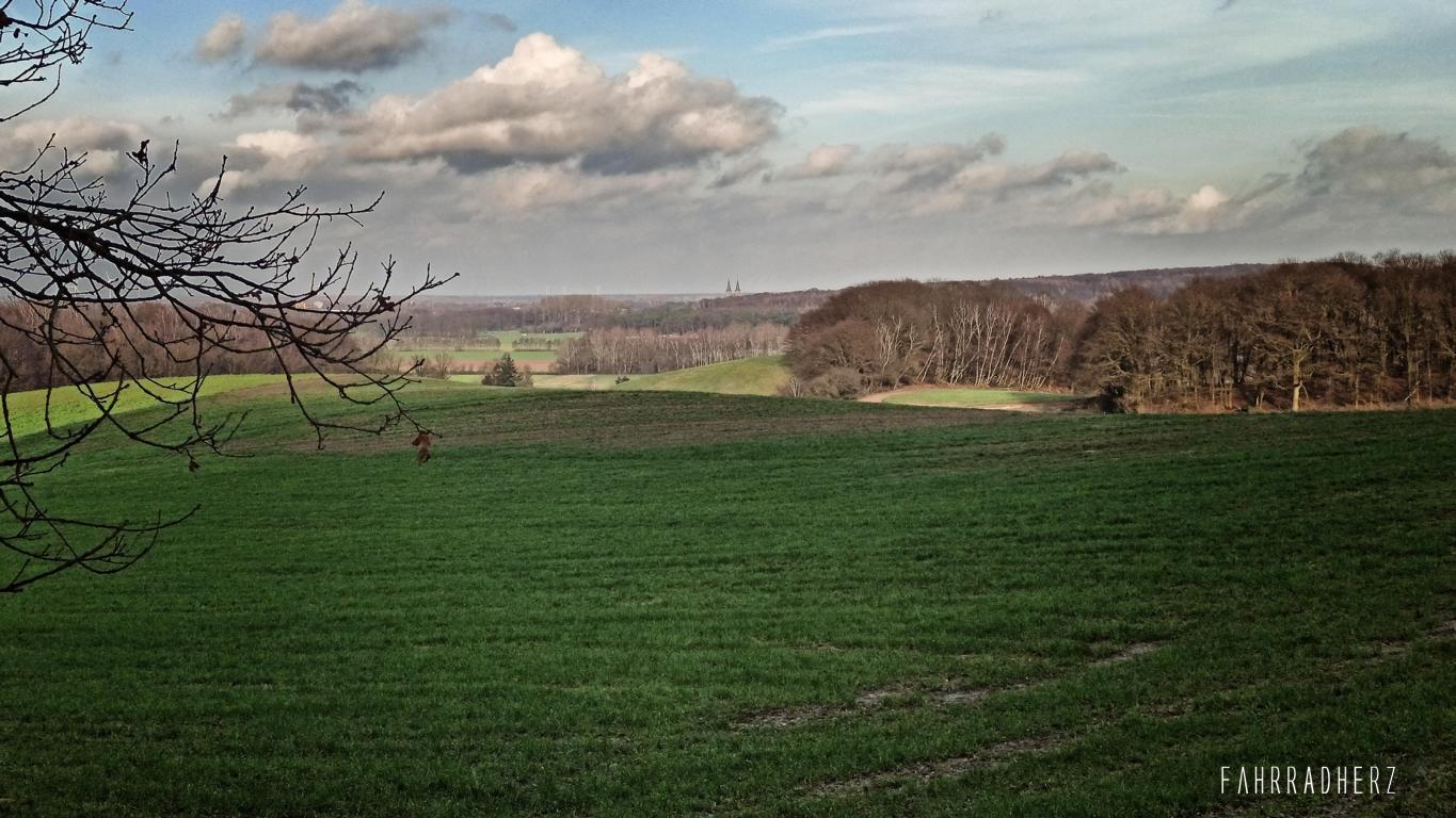 Sonsbecker-Schweiz-18