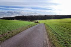 Sonsbecker-Schweiz-12