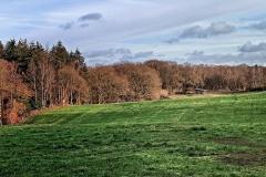 Sonsbecker-Schweiz-13