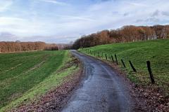 Sonsbecker-Schweiz-17